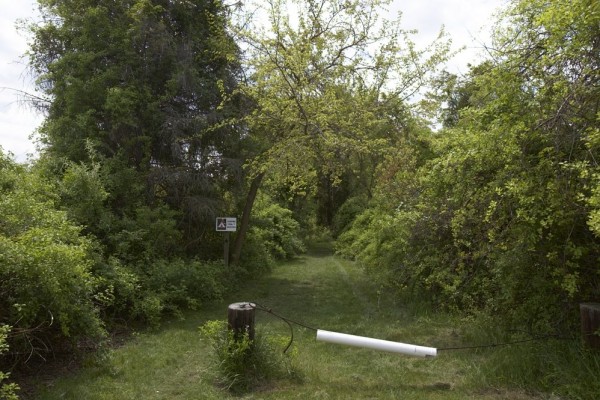 Are we really in Brooklyn?