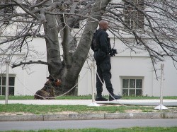 Cool Obama job with an equally cool title: Plant Protection Technician