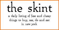 the-skint-logo-3