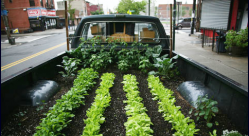How to plant a ‘truck farm’