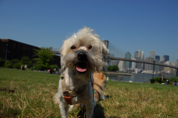 Photo by Toke Nygaard.