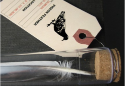 $25-and-under Brooklyn gift #13: pigeon feather in a tube