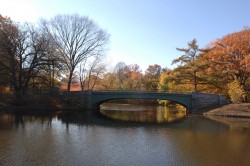 See Prospect Park's Lullwater Bridge on the Green Tour