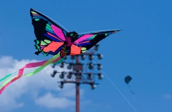 Saturday, go fly a kite, celebrate NY’s parks