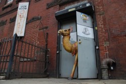 Camel Art Space will be home to 37+ BOS artists.