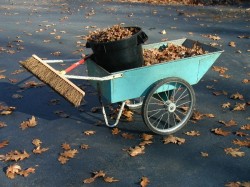 Where to compost your leaves, this weekend and next