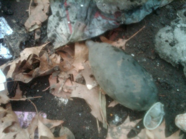 Condom on Pacific Street