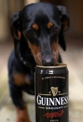 funny-picture-1350453634